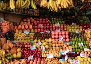 row material for fruits cutting