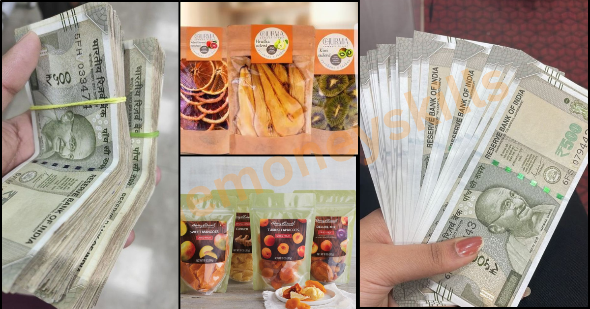 Dry fruits chips profit