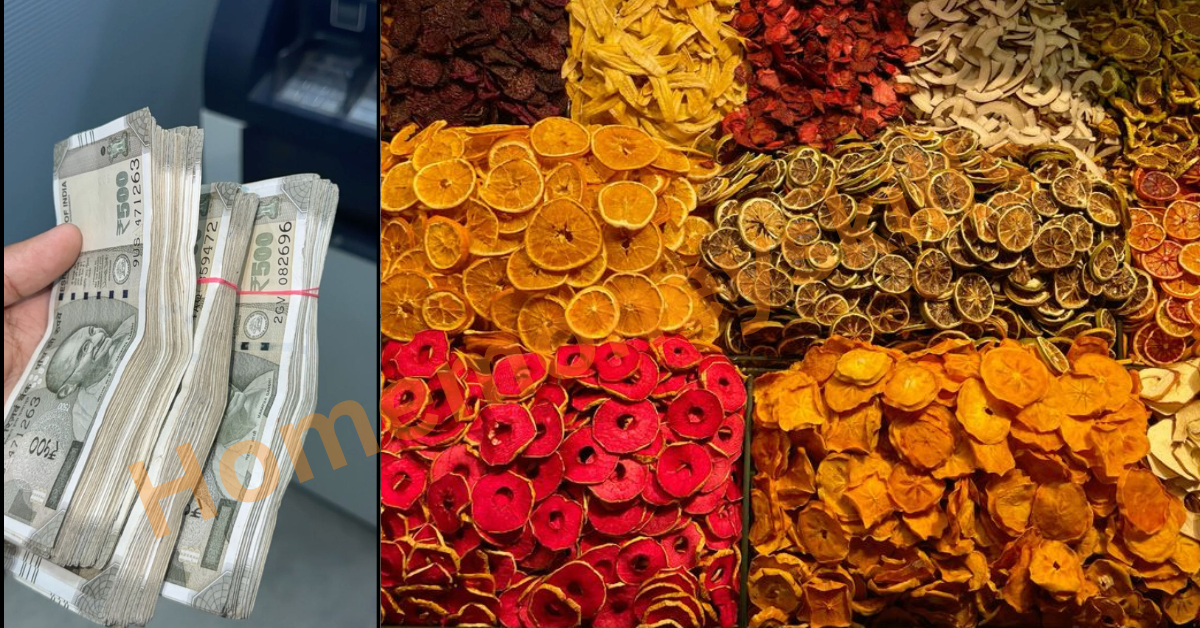 Dry fruits chips business
