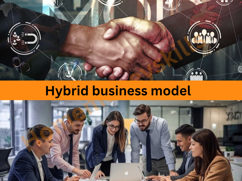 hybrid business model
