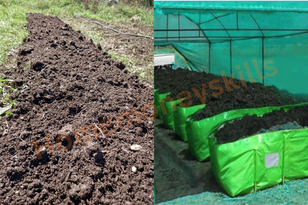 vermicompost organic fertilizer