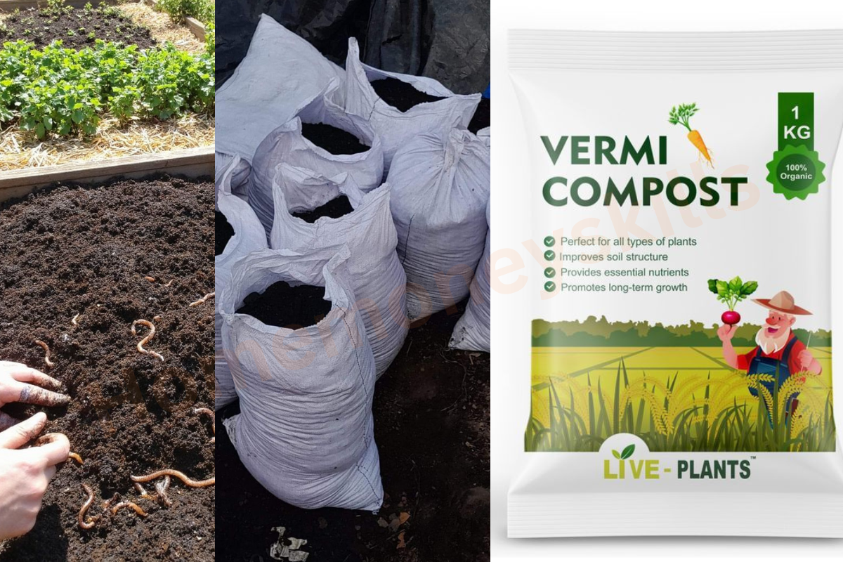 vermicompost suppliers