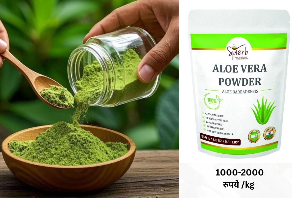 aloe vera powder business