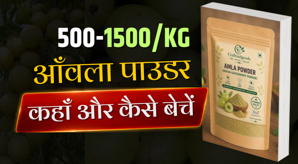 how to start a amla powder business