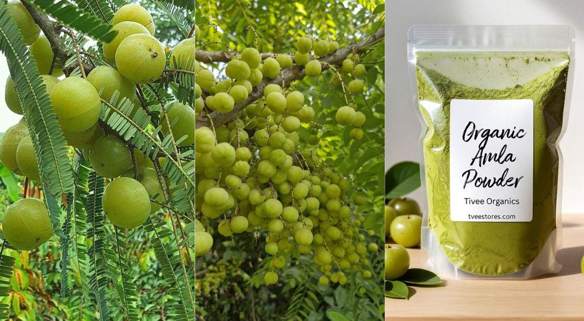 amla
