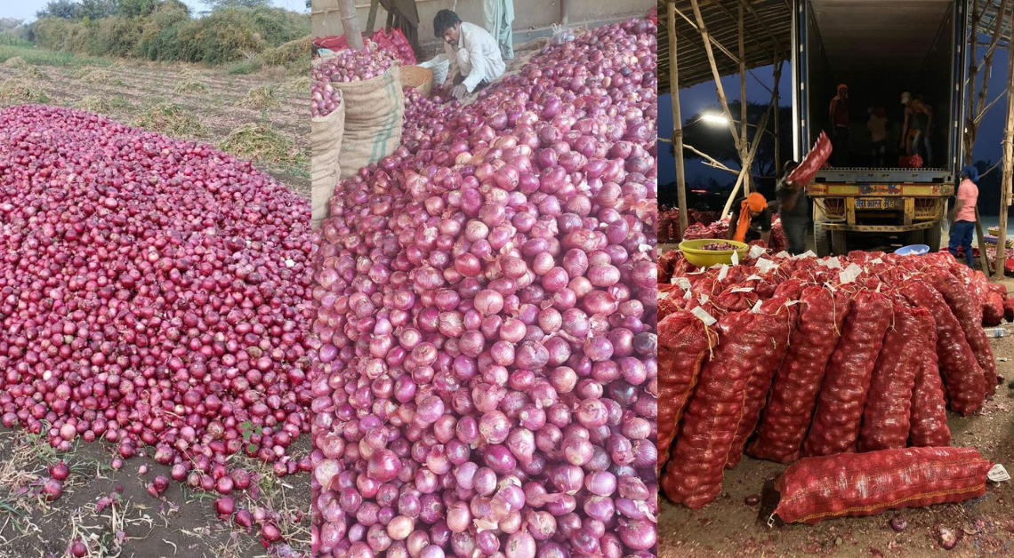 onion