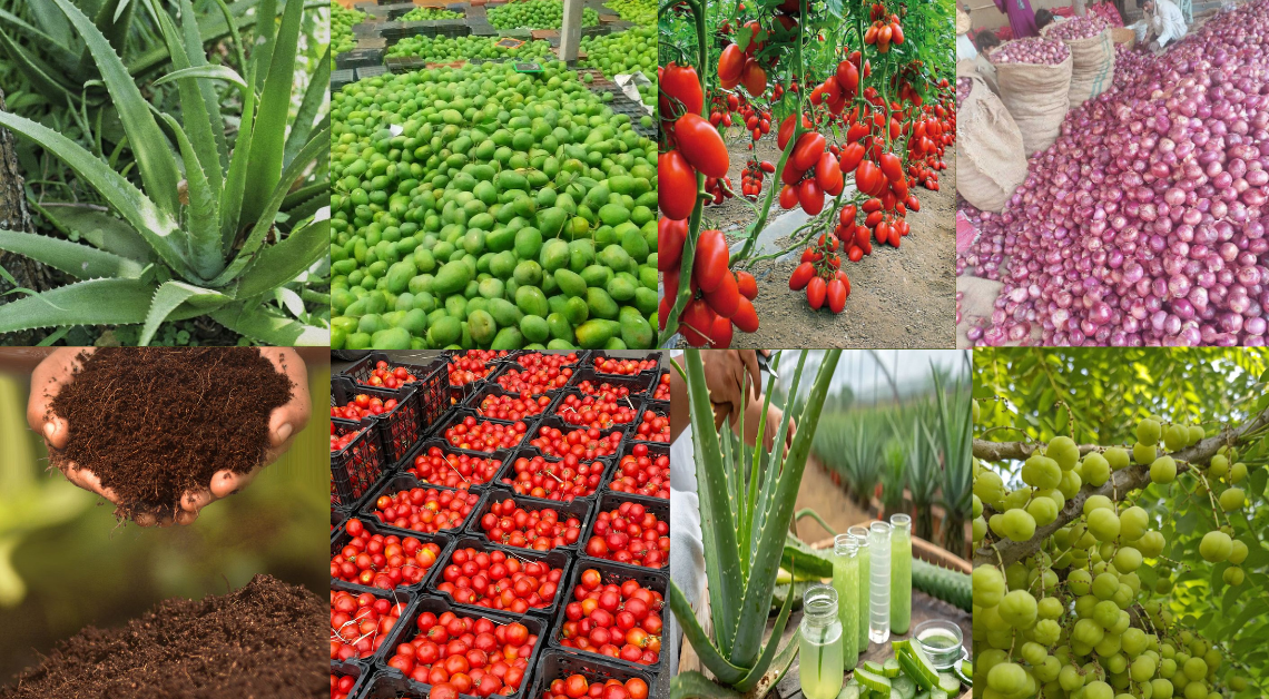 top 6 farming business