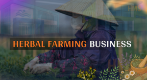 Herbal Farming Business क्या है? और इसकी Demand क्यों बढ़ रही है?